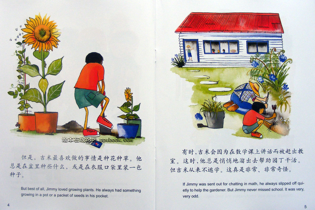 吉米的种子 (04),绘本,绘本故事,绘本阅读,故事书,童书,图画书,课外阅读